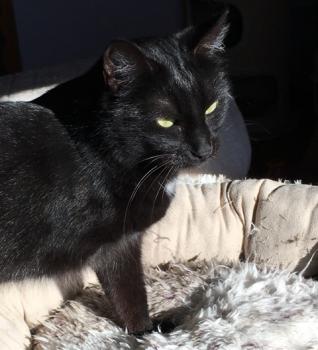 Sophia Bild von Sophia