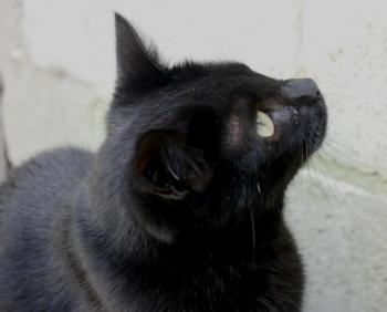 Lulú Bild von Lulú