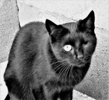 Lulú Bild von Lulú