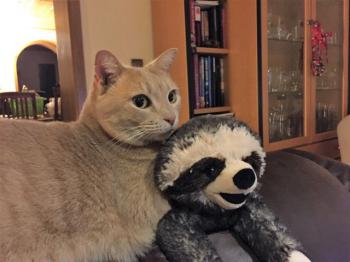 Bild von Phan
