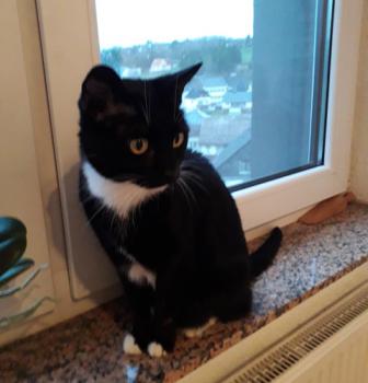 Lilly Bild von Lilly