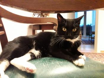 Lilly Bild von Lilly