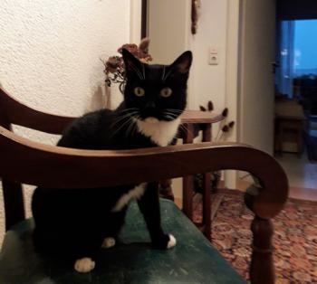 Lilly Bild von Lilly