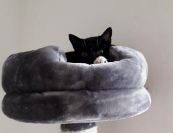 Lilly Bild von Lilly