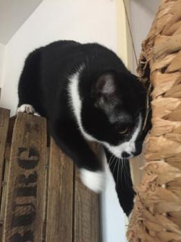 Cirah Bild von Cirah