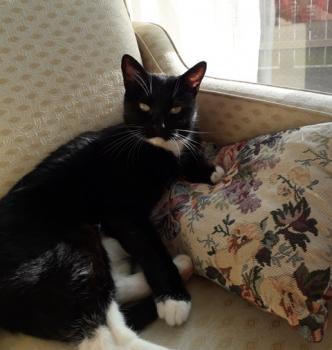 Lilly Bild von Lilly