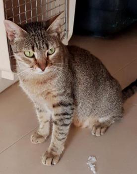 Nora Bild von Nora