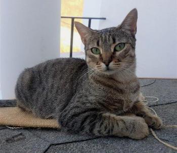 Nora Bild von Nora