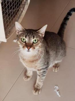 Nora Bild von Nora