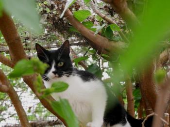 Wanda Bild von Wanda