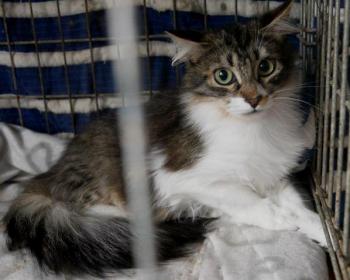 Suzette Bild von Suzette