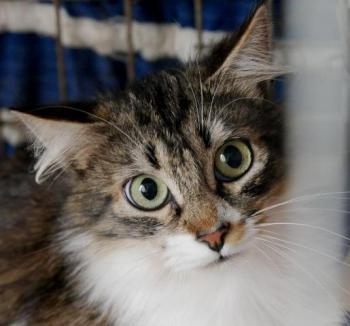 Suzette Bild von Suzette