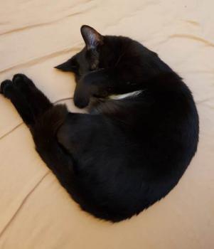 Sophia Bild von Sophia