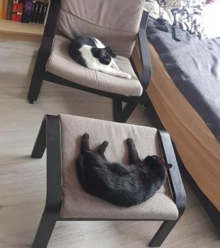 Sophia Bild von Sophia