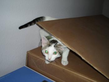 Sabrina Bild von Sabrina