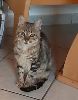 Tino Bild von Tino