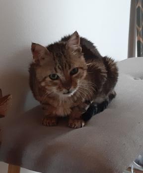 Tino Bild von Tino