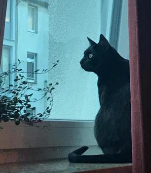 Bild von Njuki
