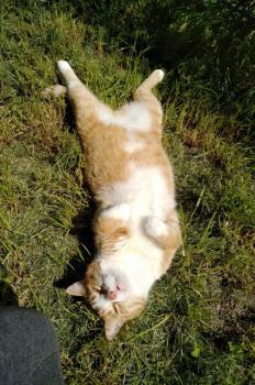 Charly Bild von Charly