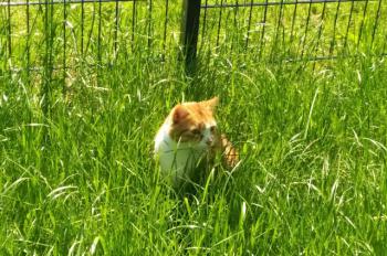 Charly Bild von Charly