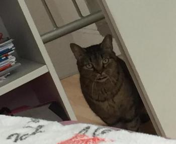 Zandra Bild von Zandra