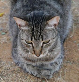 Simon Bild von Simon
