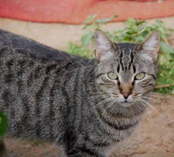 Simon Bild von Simon