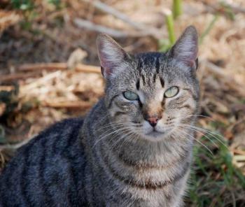 Simon Bild von Simon