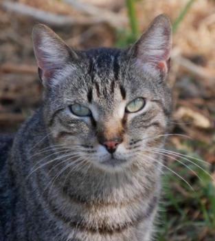 Simon Bild von Simon