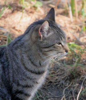 Simon Bild von Simon
