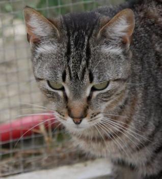 Simon Bild von Simon