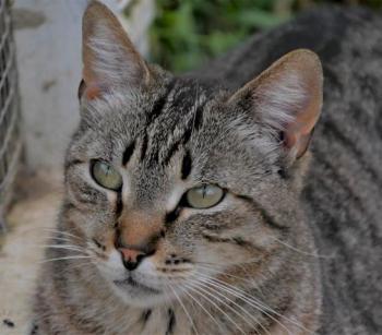 Simon Bild von Simon