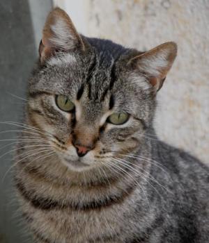 Simon Bild von Simon