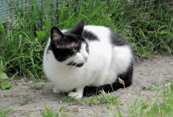 Selma Bild von Selma