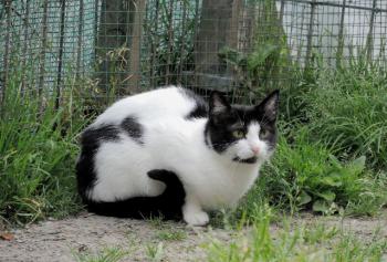Selma Bild von Selma