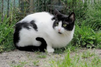 Selma Bild von Selma