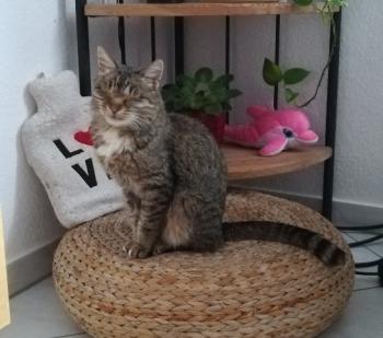 Püppi Bild von Püppi