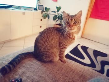 Püppi Bild von Püppi