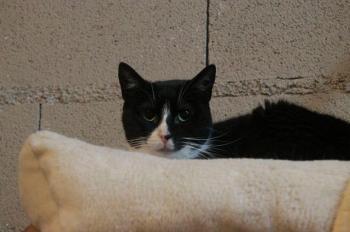 Beti Bild von Beti