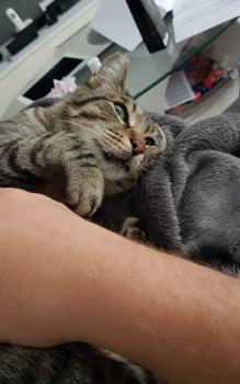 Joschi Bild von Joschi