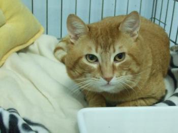 Amadeus Bild von Amadeus