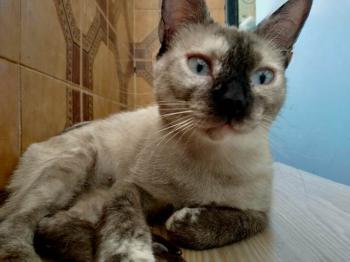 Agustina Bild von Agustina