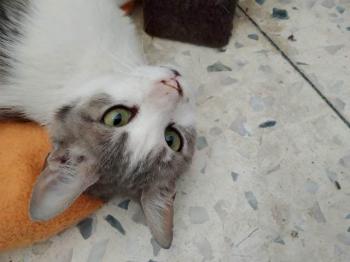 Selina Bild von Selina