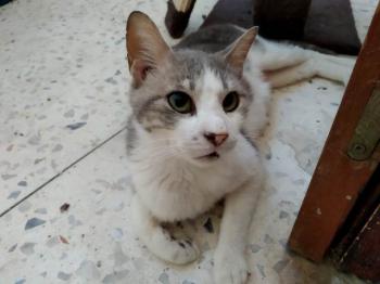 Selina Bild von Selina
