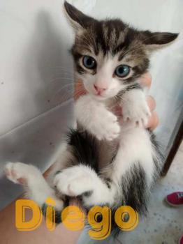Diego Bild von Diego