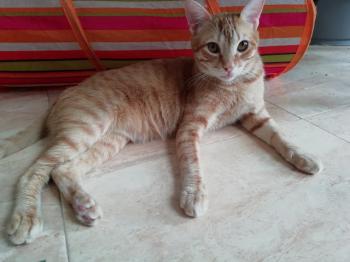 Yafar Bild von Yafar