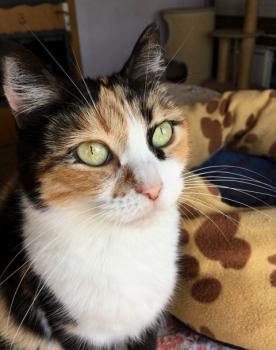 Geraldine Bild von Geraldine