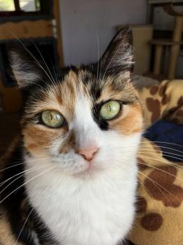 Geraldine Bild von Geraldine