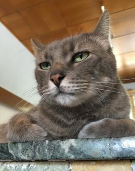 Mikesch Bild von Mikesch