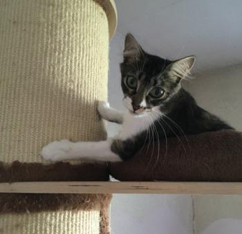 Suzette Bild von Suzette